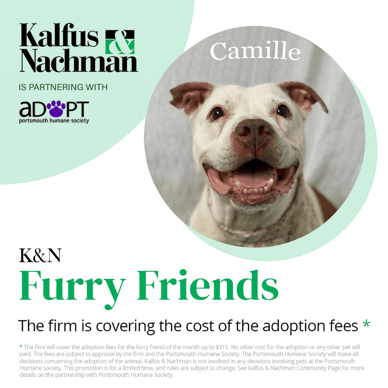 Camille - Kalfus & Nachman is partnering with the Portsmouth Humane Society. 