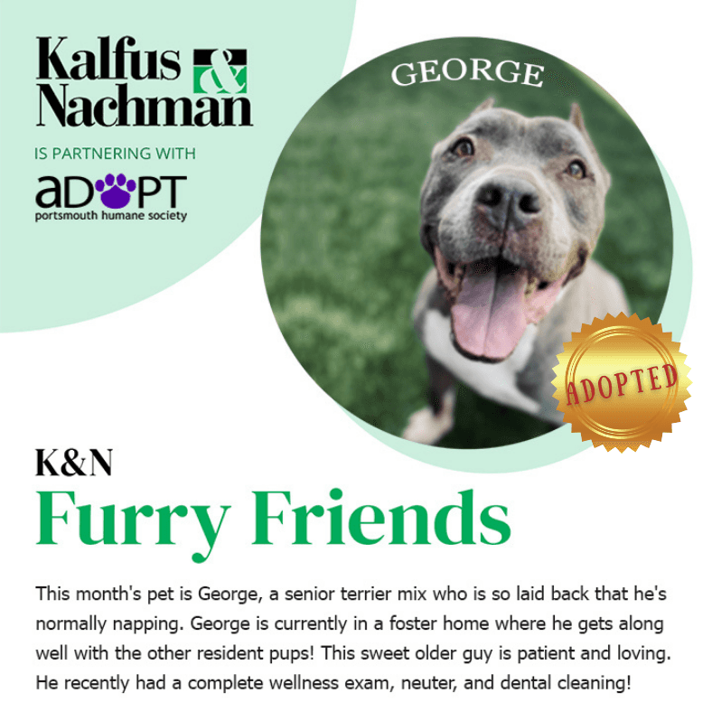 Furry Friends: George