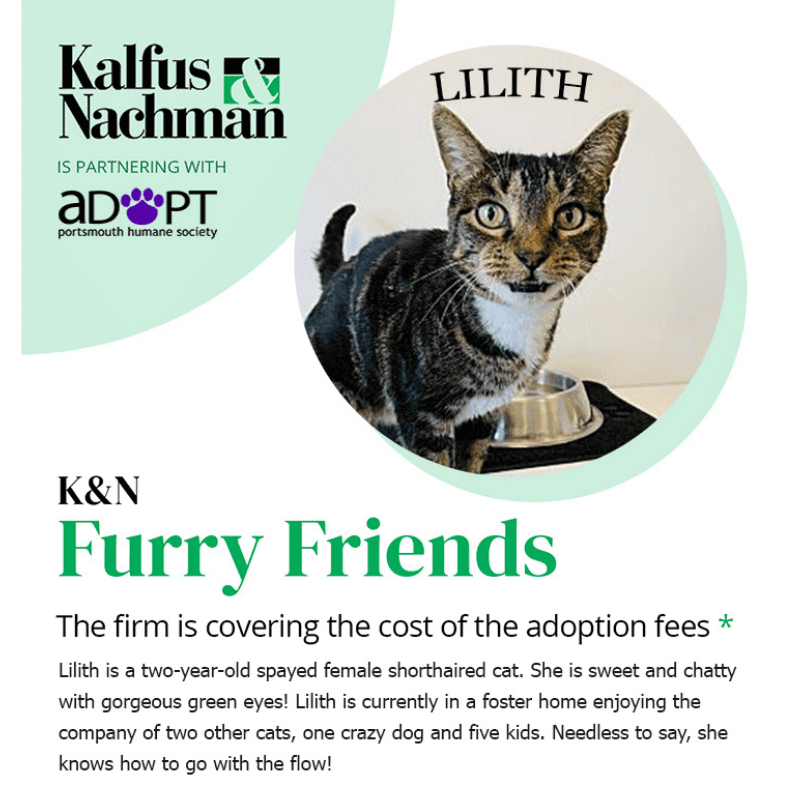 Furry Friends: Lilith