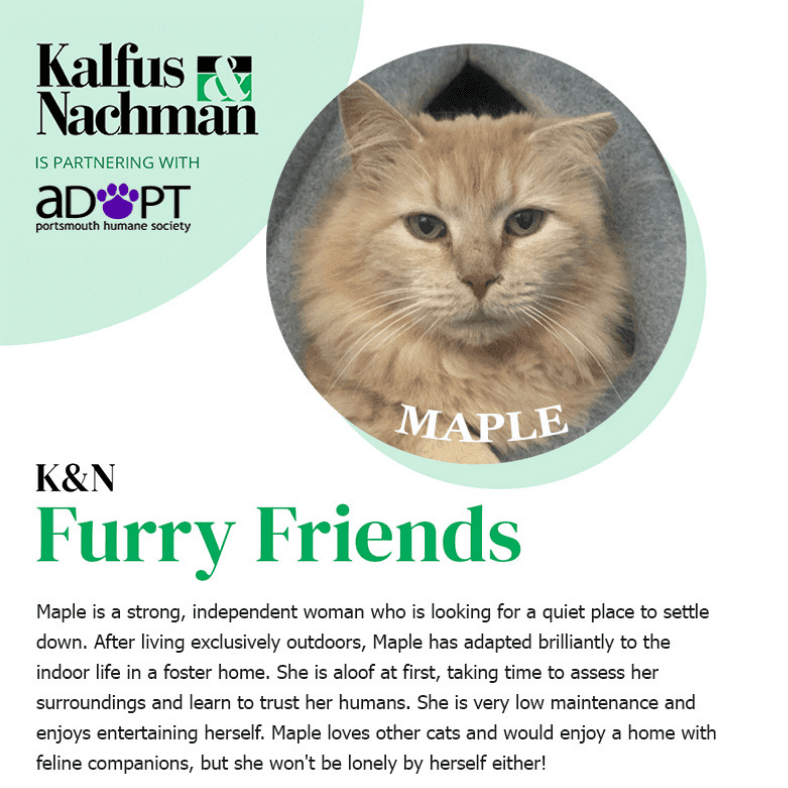 Maple, November 2021 Pet of the Month